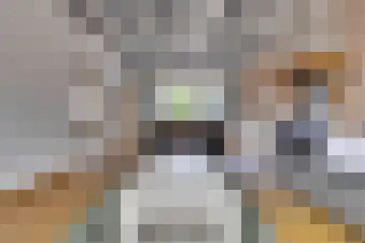 Heuvel 9 Gemert thumbnail 7