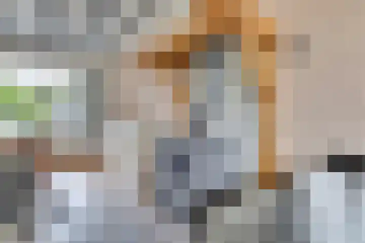 Heuvel 9 Gemert thumbnail 8