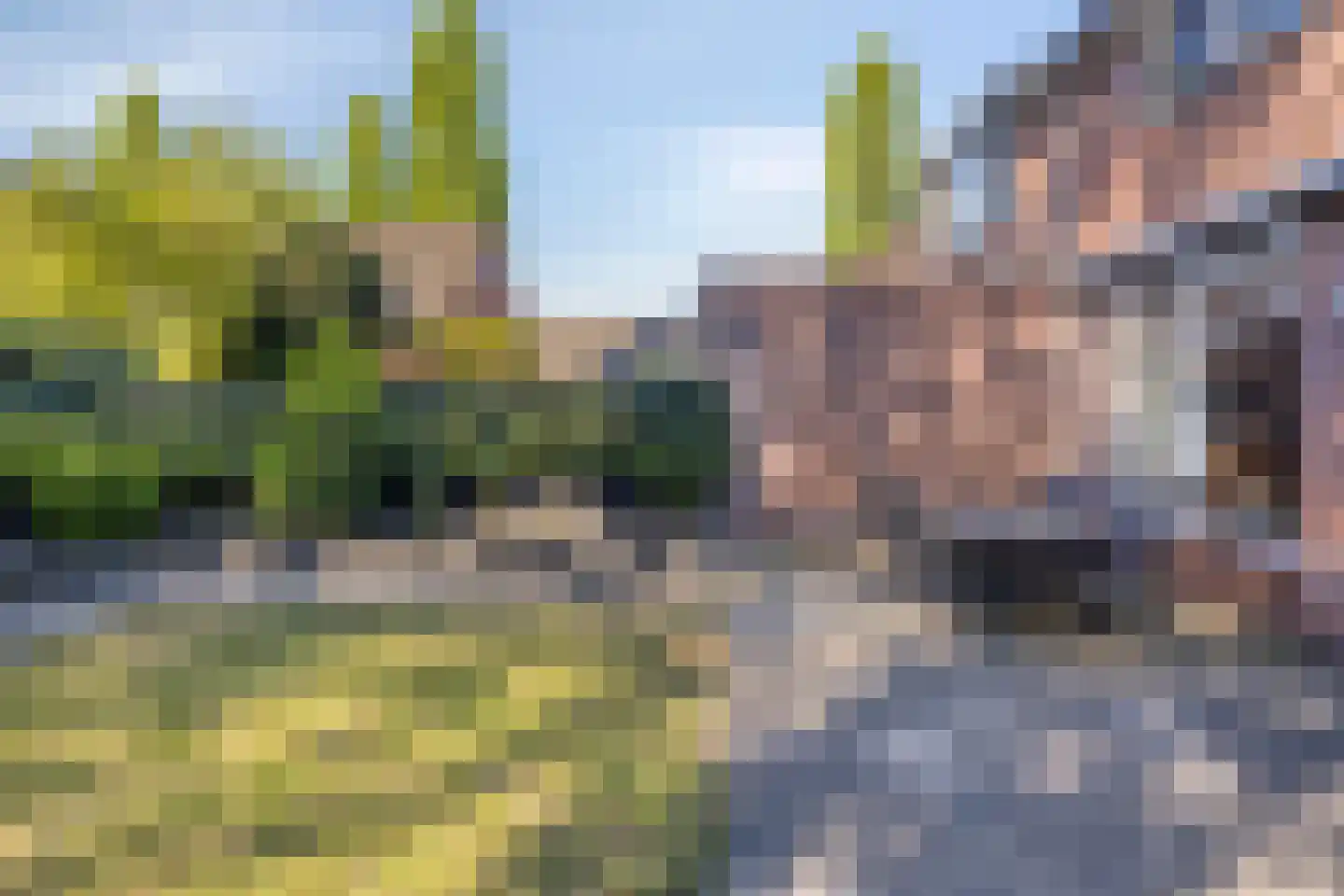 Heuvelaar 8 Esbeek thumbnail 30