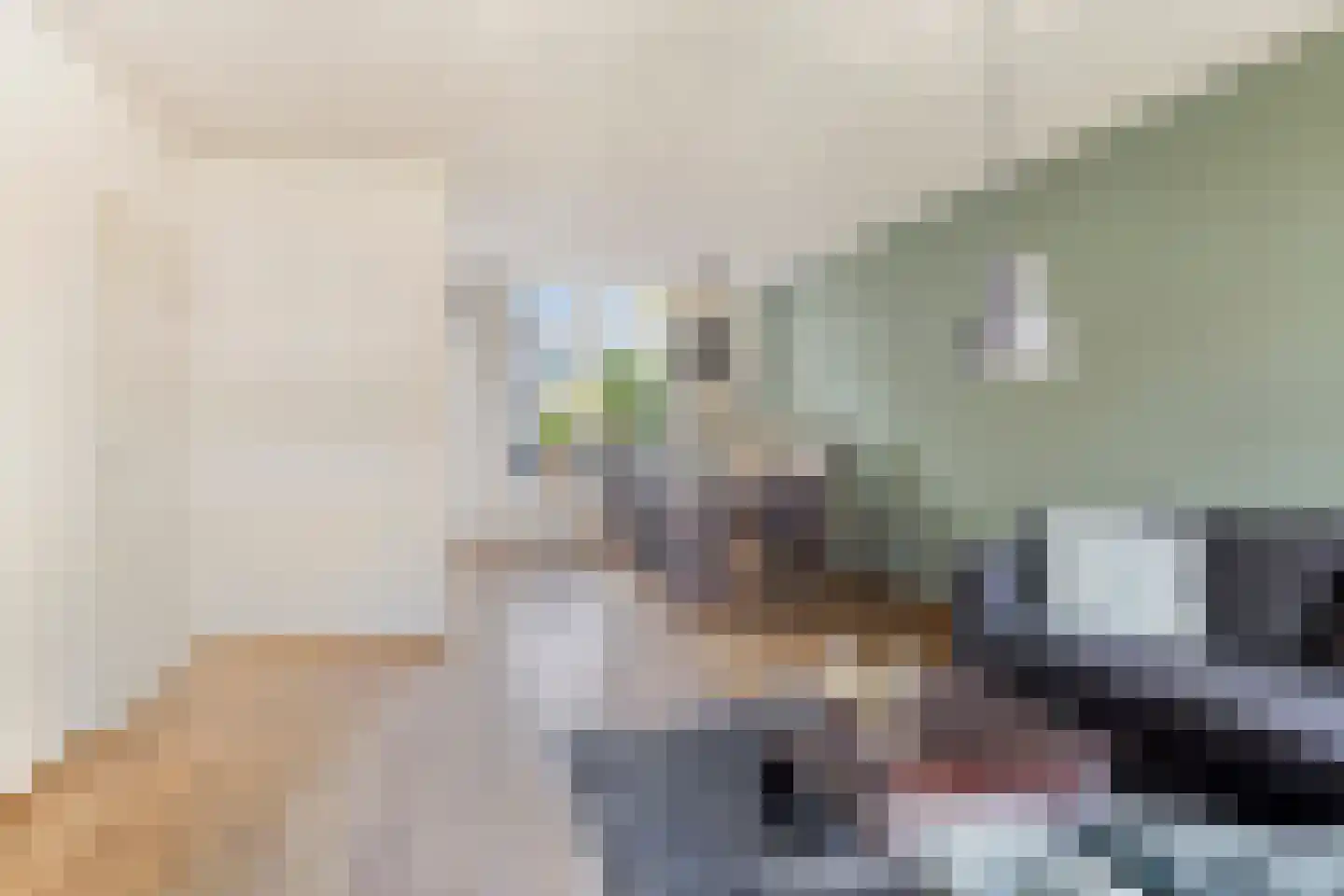 Heuvelaar 8 Esbeek thumbnail 6