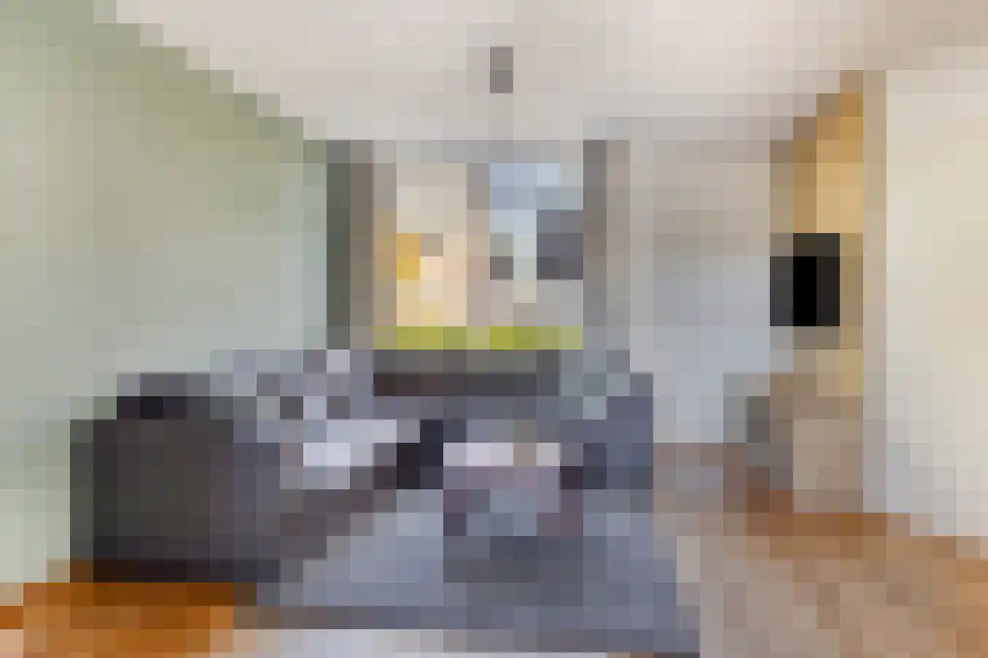 Heuvelaar 8 Esbeek thumbnail 7