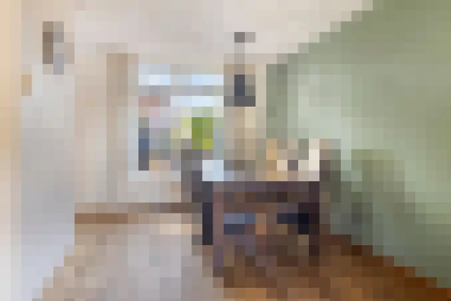 Heuvelaar 8 Esbeek thumbnail 9