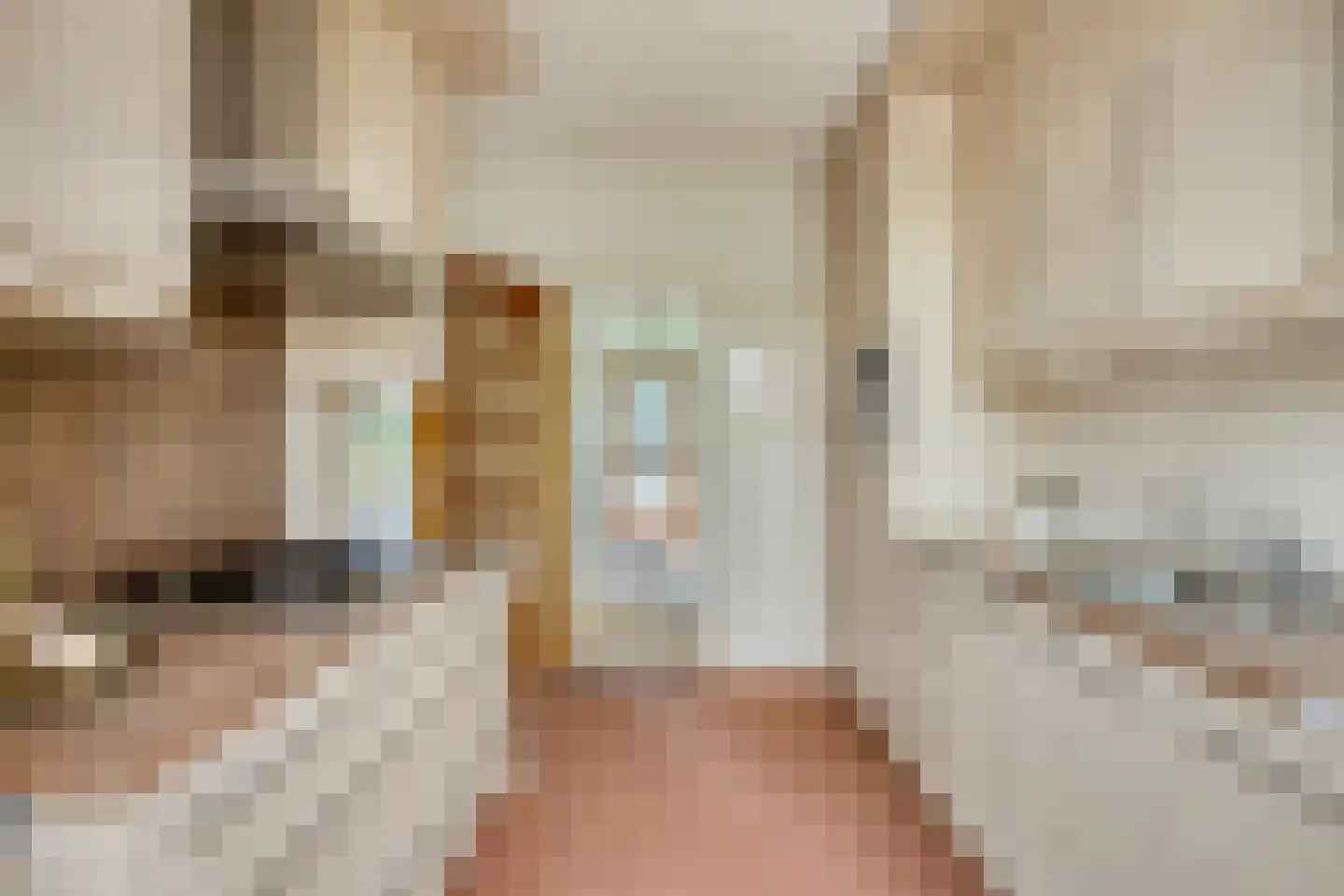 Heuvelakker 8 Eindhoven thumbnail 6