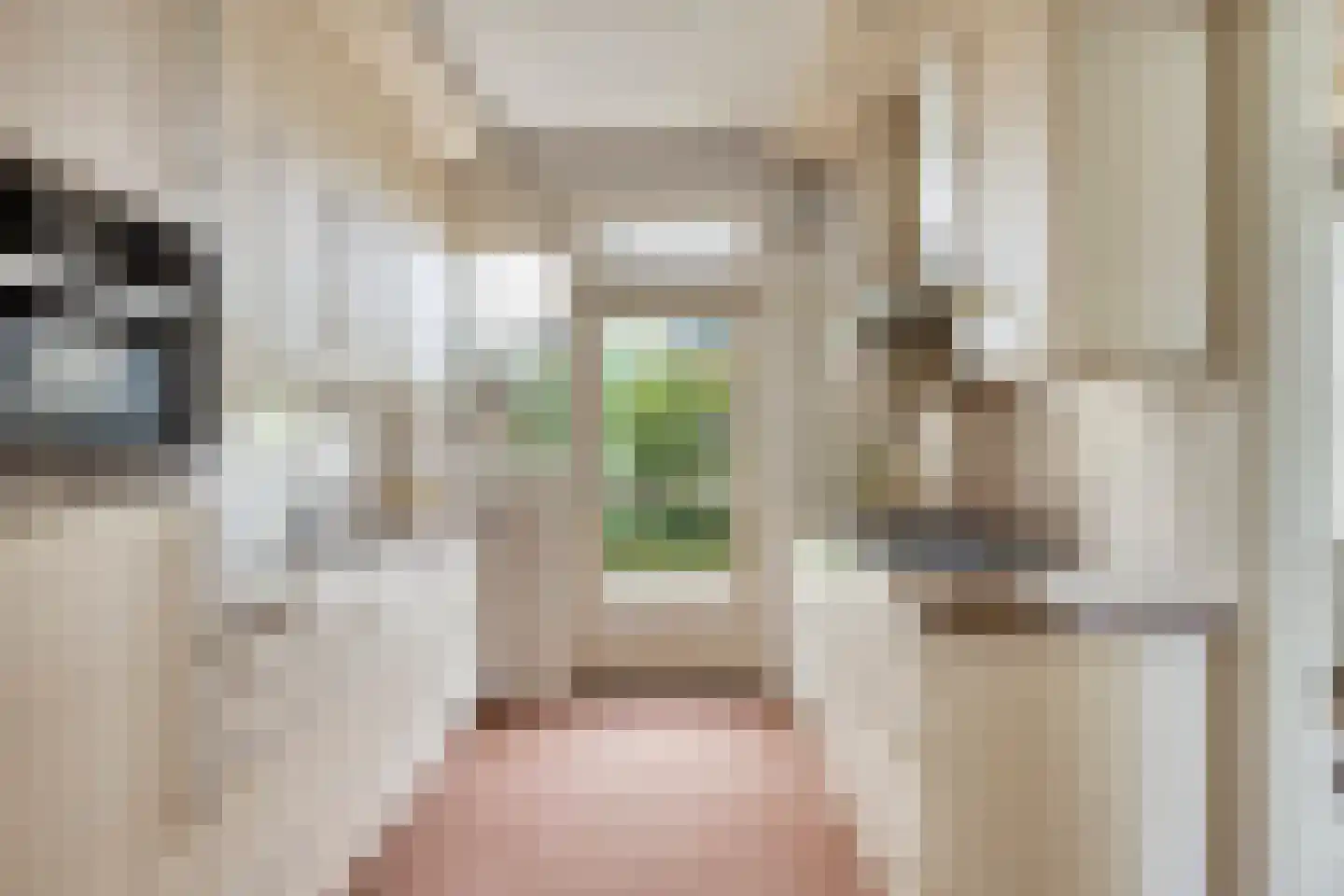 Heuvelakker 8 Eindhoven thumbnail 7
