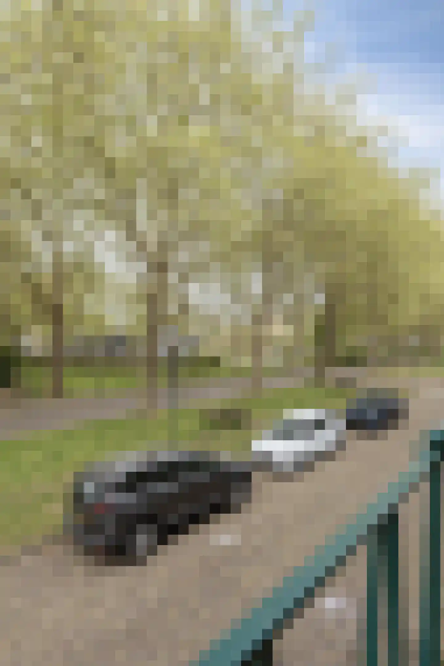 Heuvelbrink 109 Breda thumbnail 20