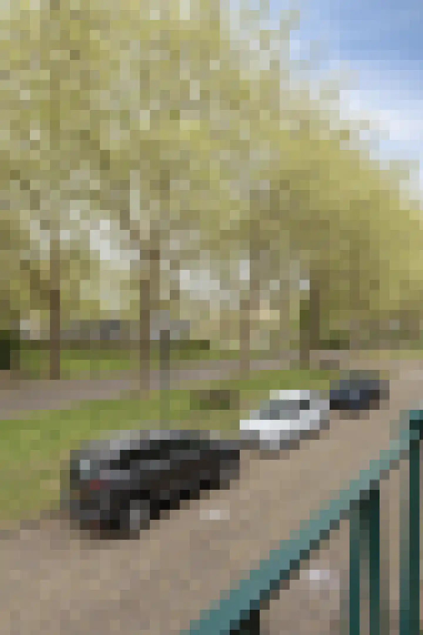 Heuvelbrink 109 Breda thumbnail 20