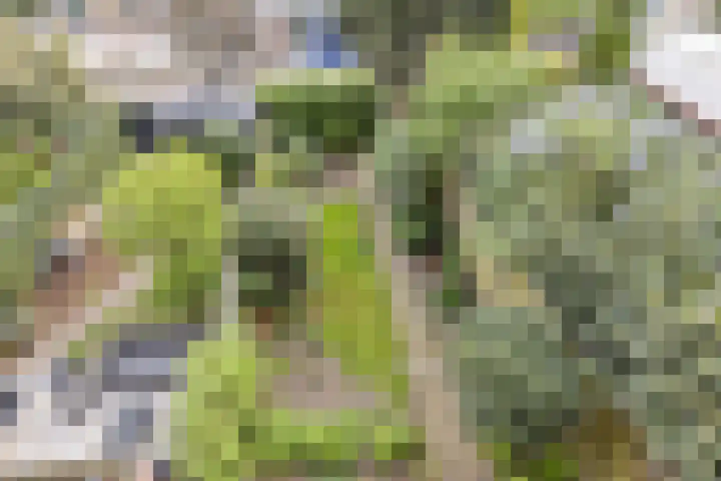 Heuvelbrink 109 Breda thumbnail 31