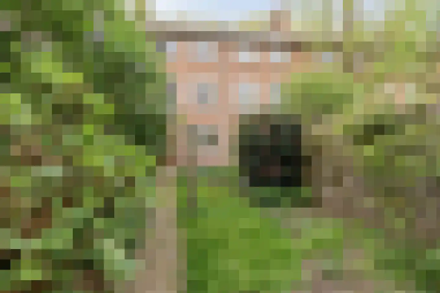 Heuvelbrink 109 Breda thumbnail 32