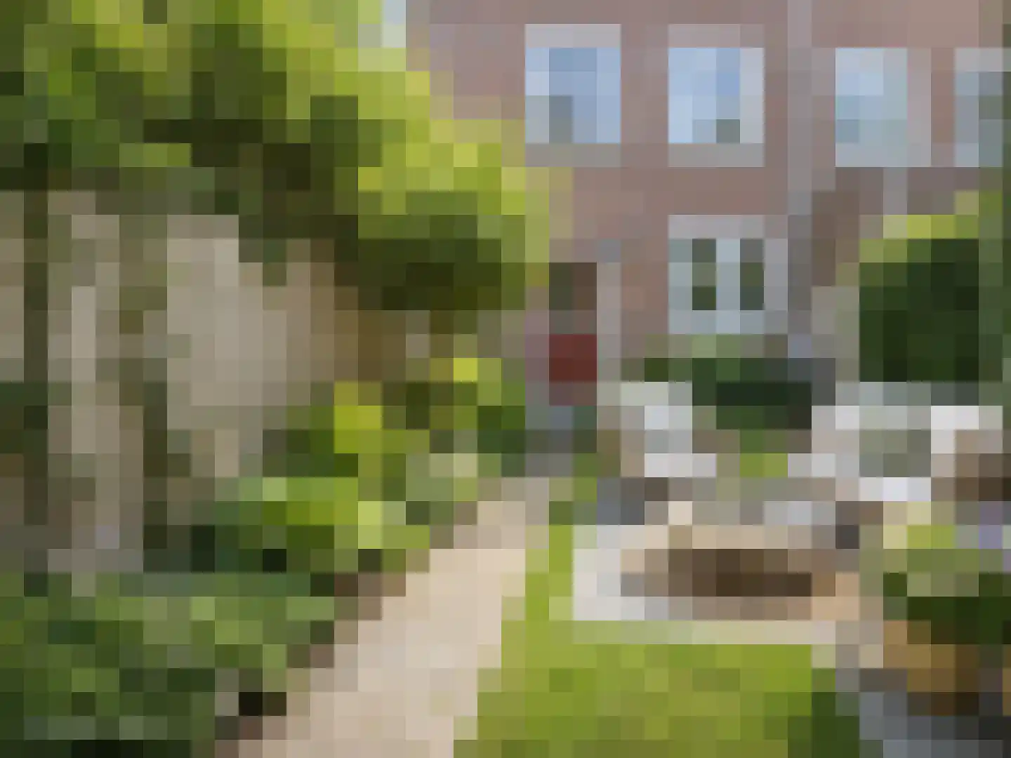 Heuvelbrink 109 Breda thumbnail 34