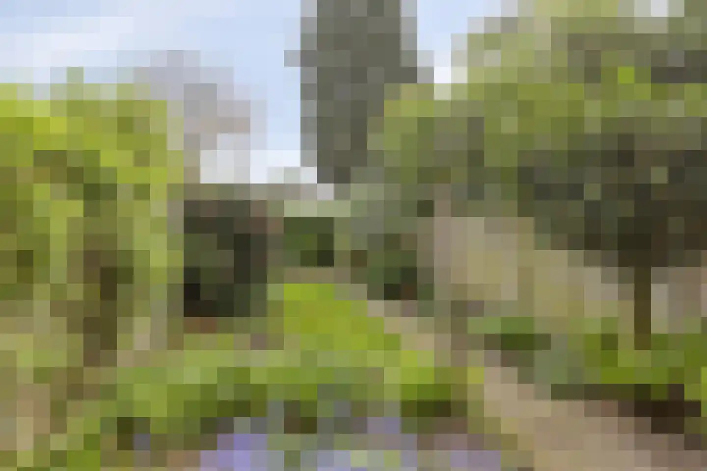Heuvelbrink 109 Breda thumbnail 34