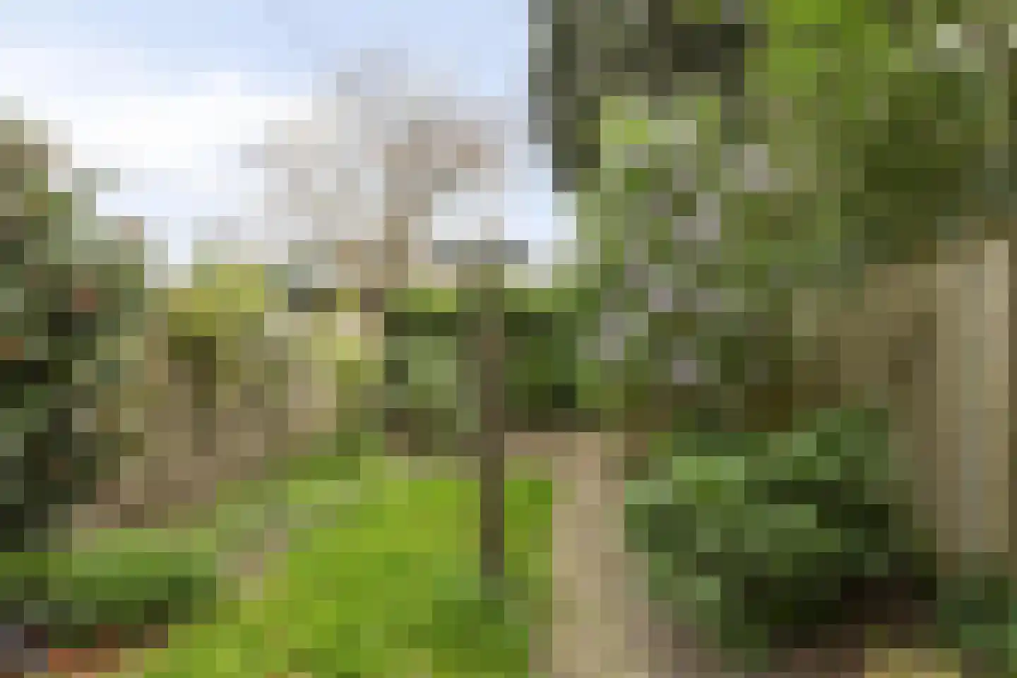 Heuvelbrink 109 Breda thumbnail 35