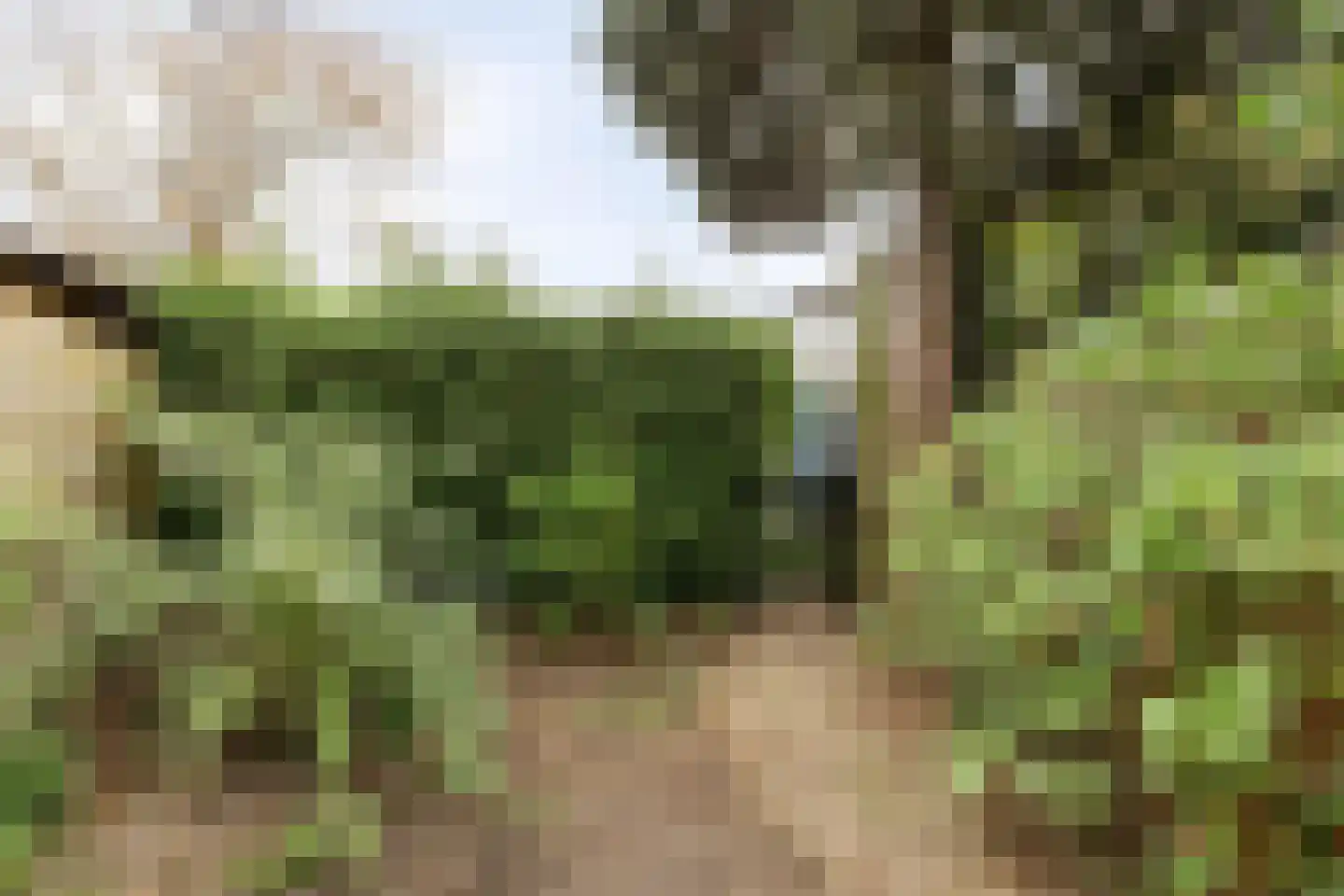Heuvelbrink 109 Breda thumbnail 36