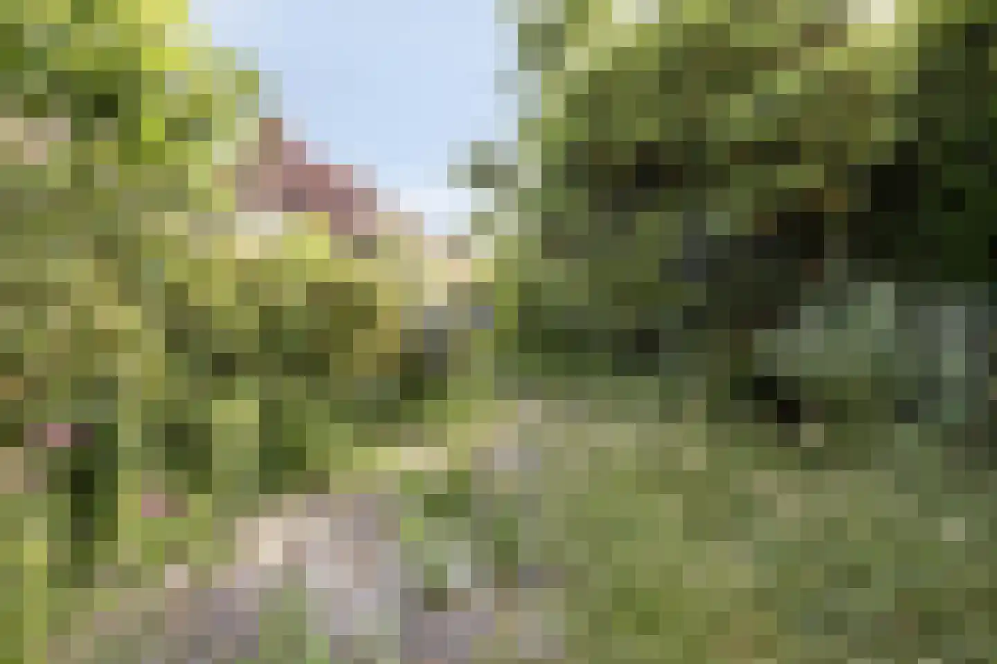 Heuvelbrink 21 Breda thumbnail 35