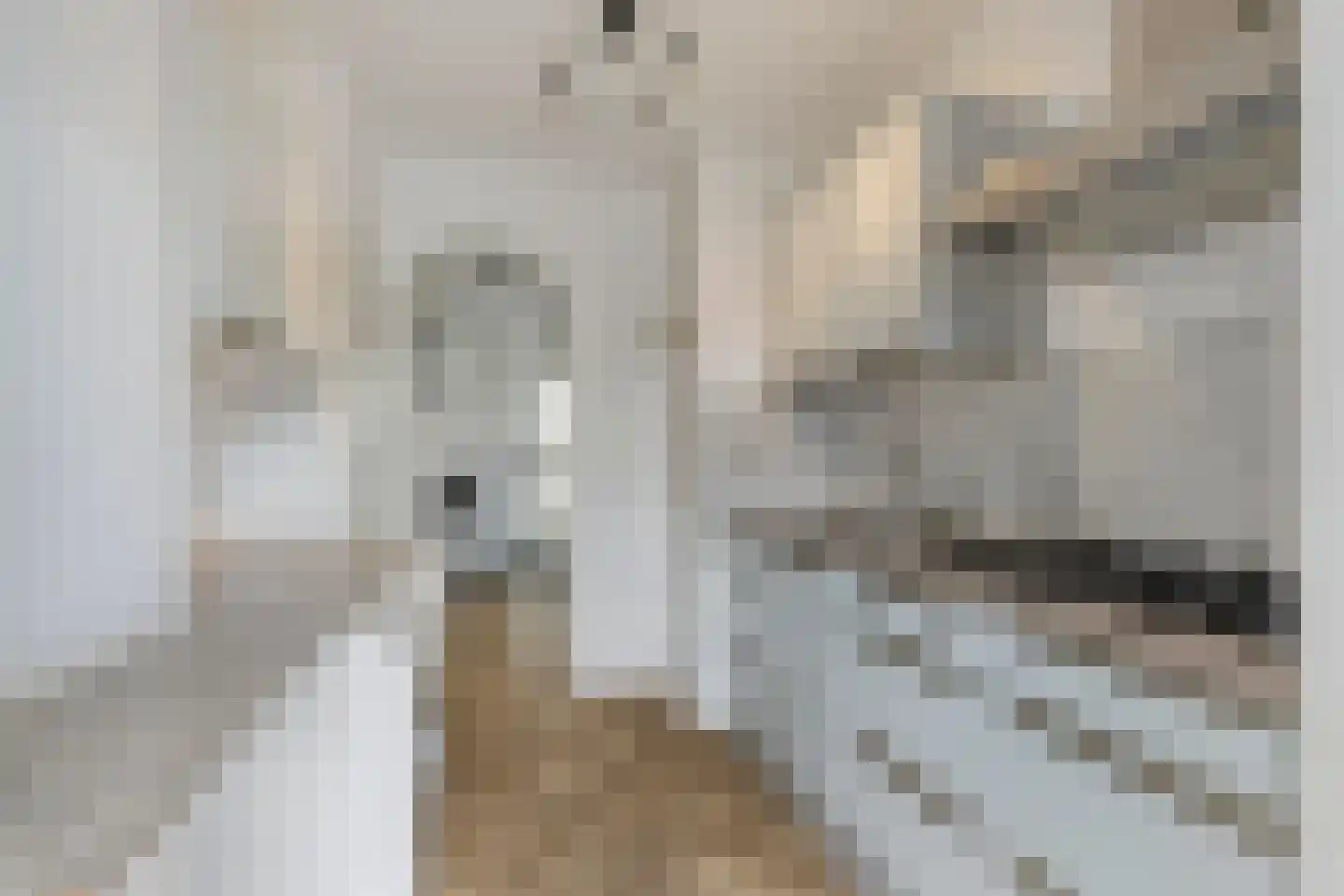 Heuvelbrink 22 Breda thumbnail 11