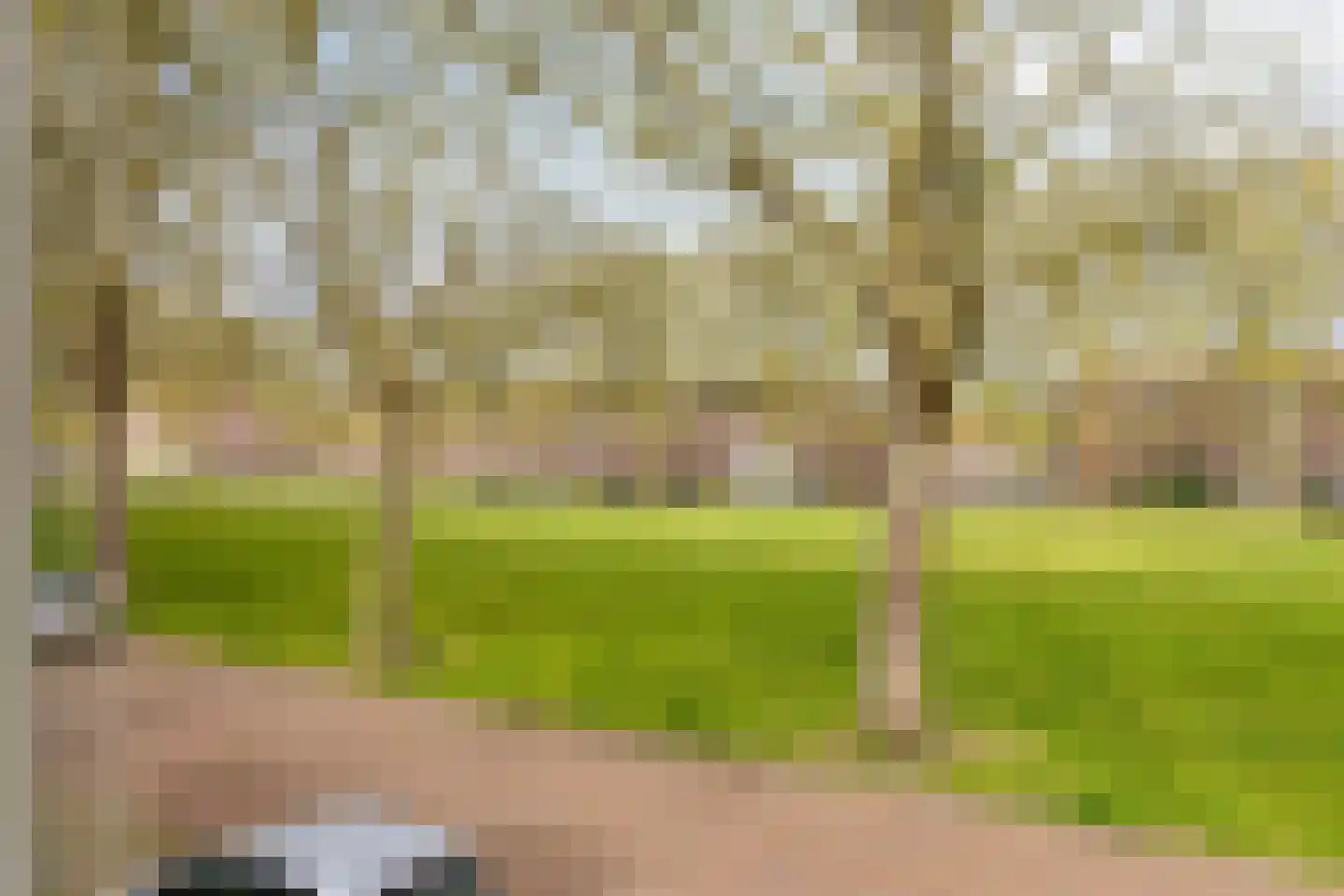 Heuvelbrink 22 Breda thumbnail 30