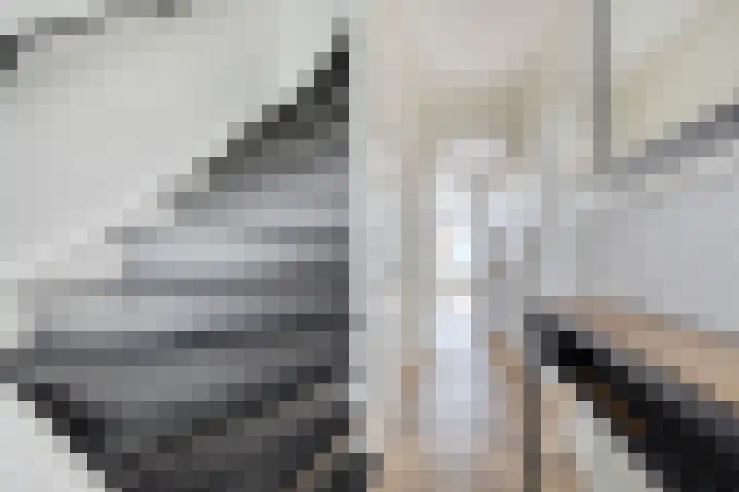 Heuvelbrink 22 Breda thumbnail 5