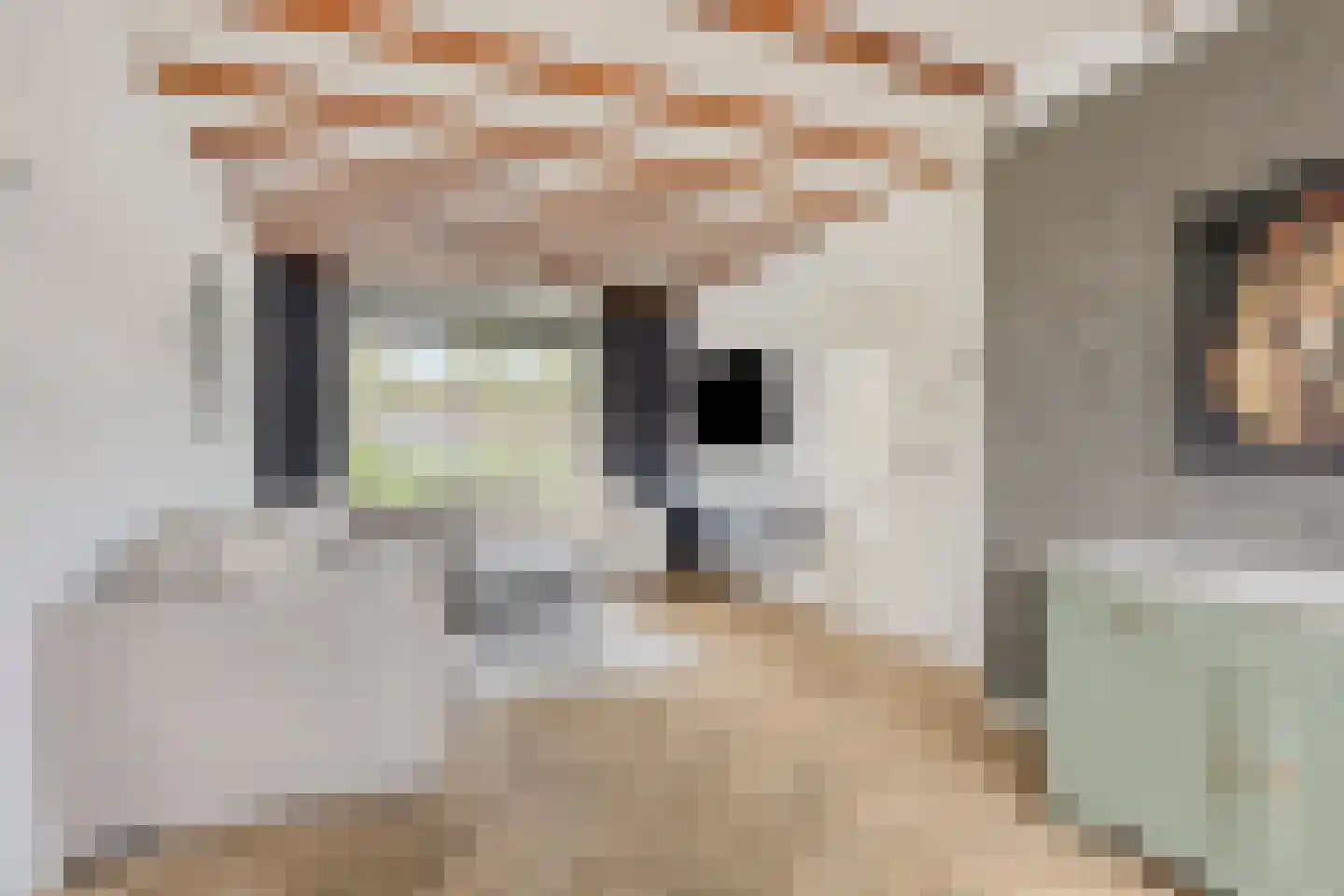 Heuvelbrink 22 Breda thumbnail 7