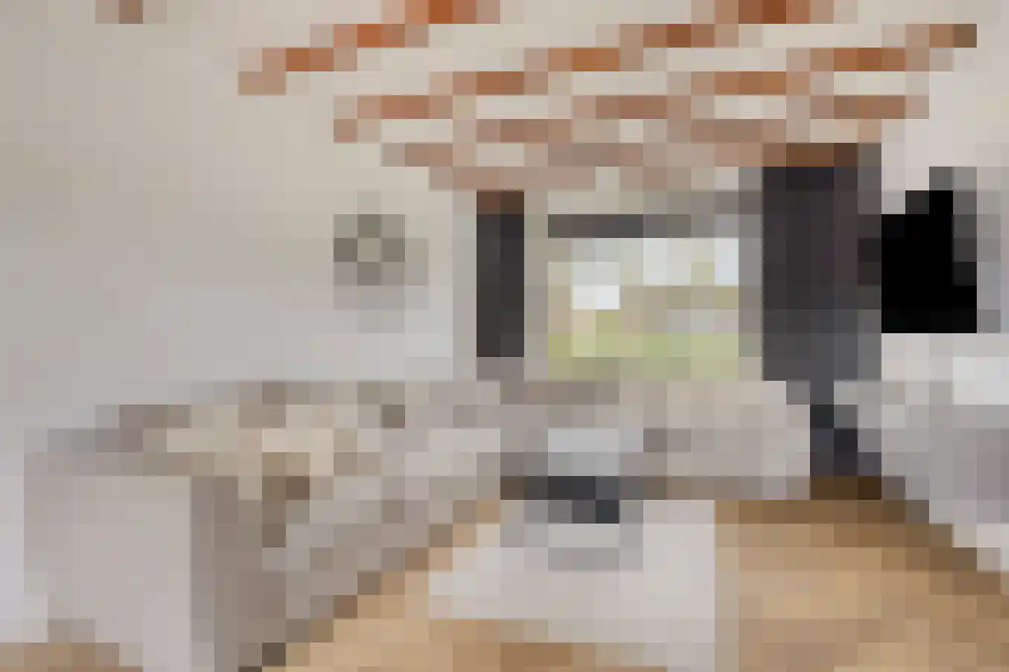 Heuvelbrink 22 Breda thumbnail 8