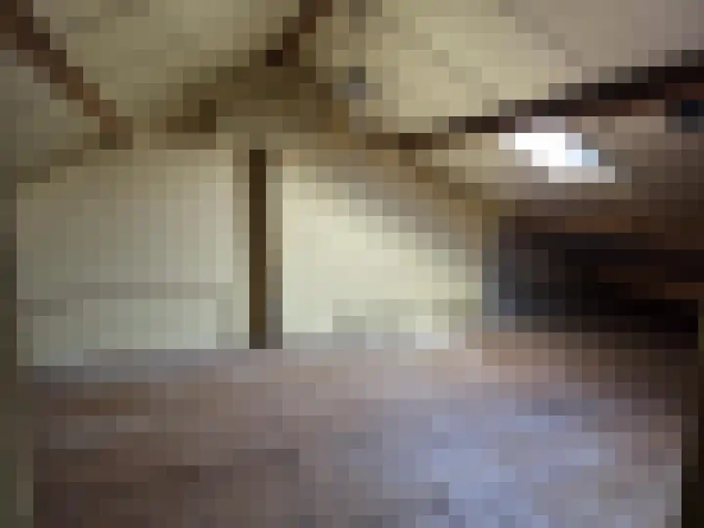 Heuveleind 1 Steensel thumbnail 11