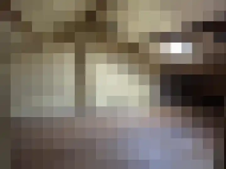 Heuveleind 1 Steensel thumbnail 11