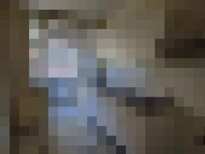Heuveleind 1 Steensel thumbnail 5