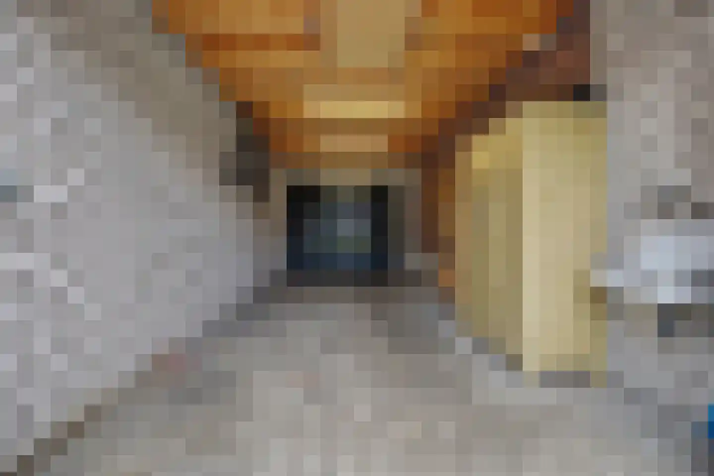 Heuveleind 4 Steensel thumbnail 36