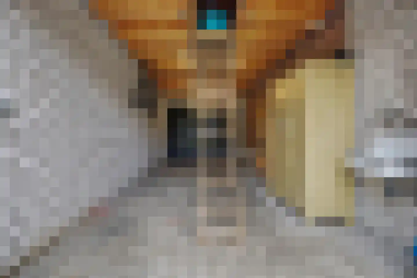 Heuveleind 4 Steensel thumbnail 37