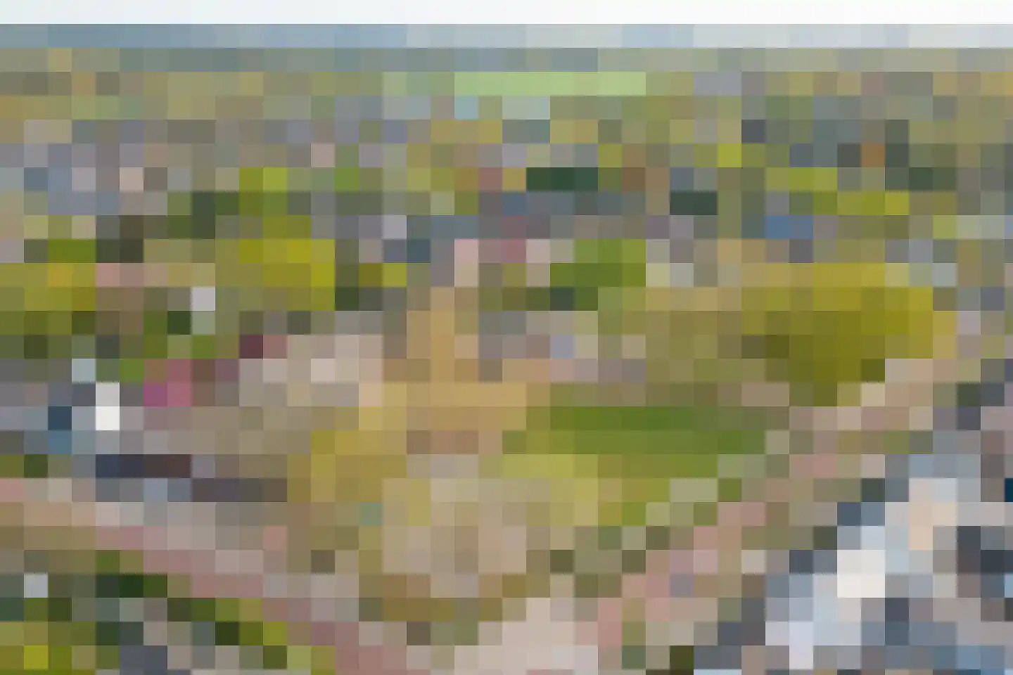 Heuveleind 4 Steensel thumbnail 45