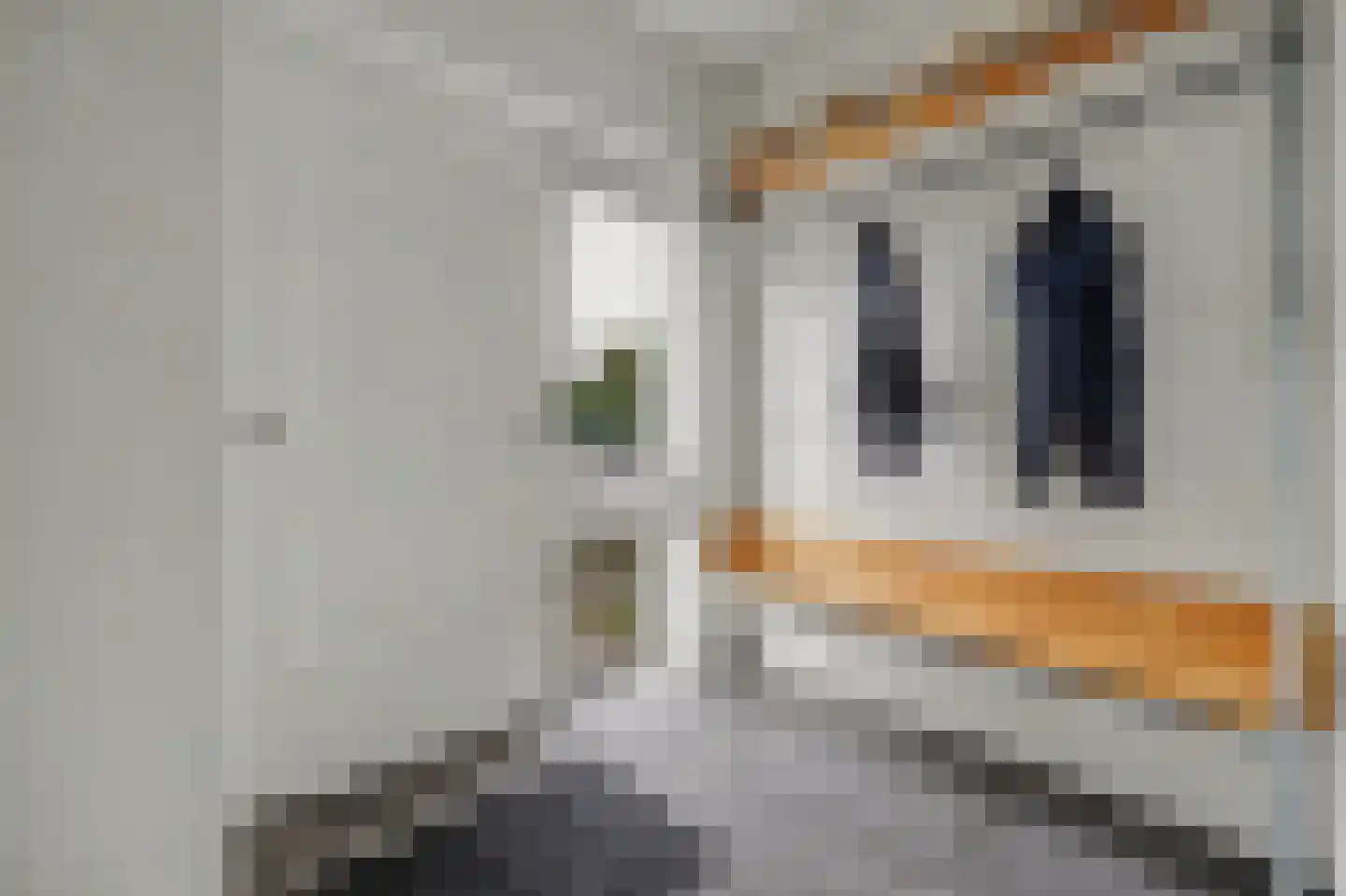 Heuveleind 4 Steensel thumbnail 6