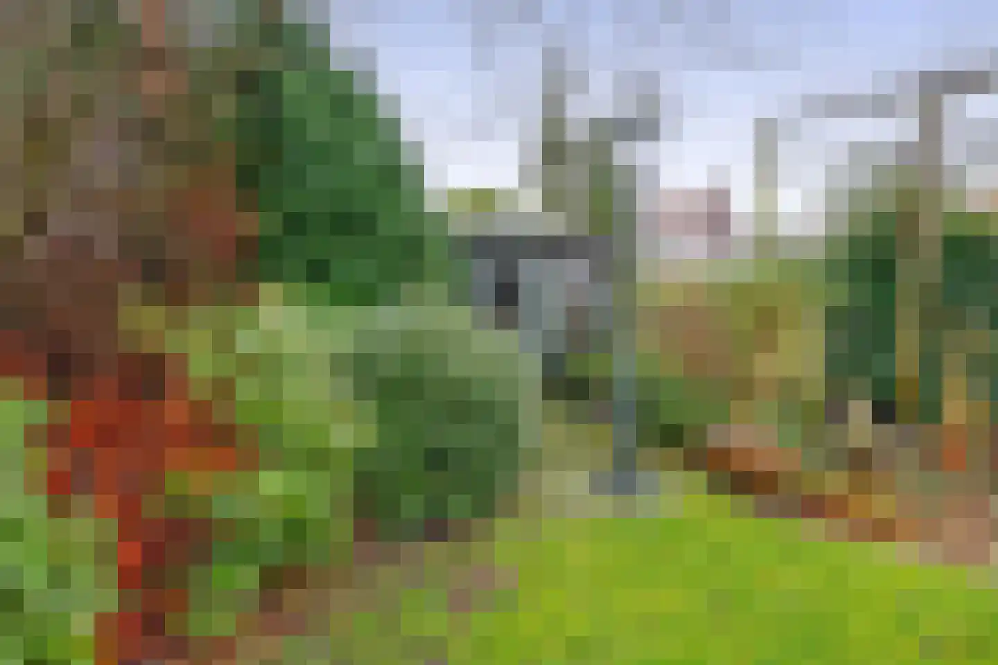 Heuveleind 8 Steensel thumbnail 39