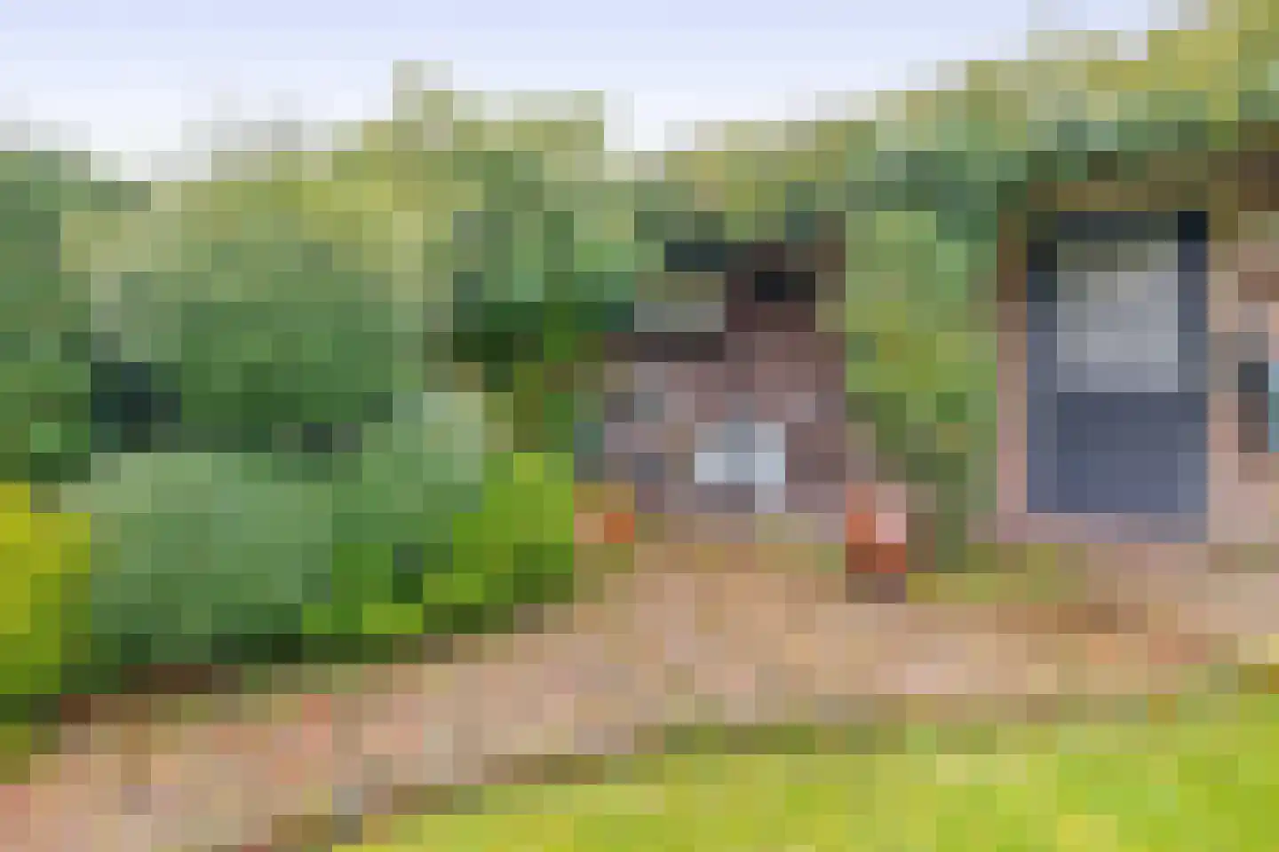 Heuveleind 8 Steensel thumbnail 41