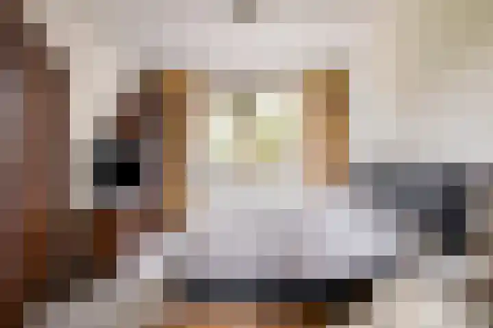 Heuveleindseweg 13 Best thumbnail 15
