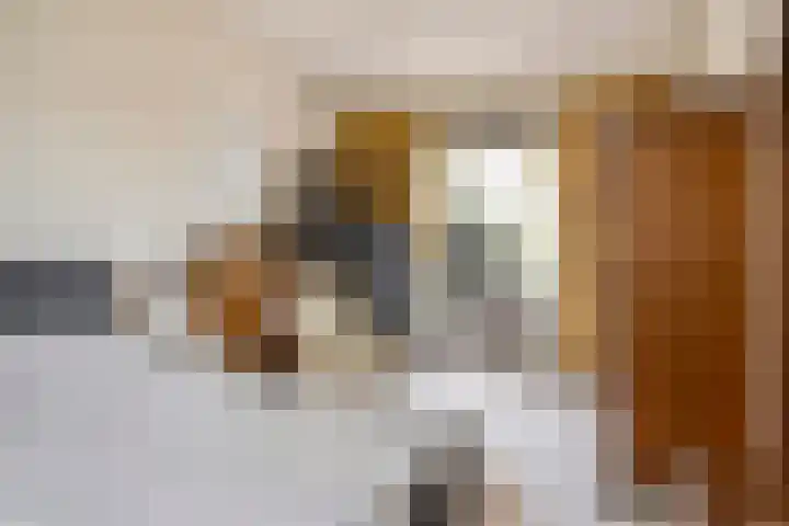 Heuveleindseweg 13 Best thumbnail 16