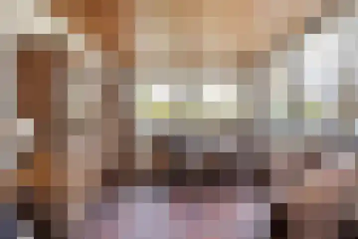 Heuveleindseweg 13 Best thumbnail 21