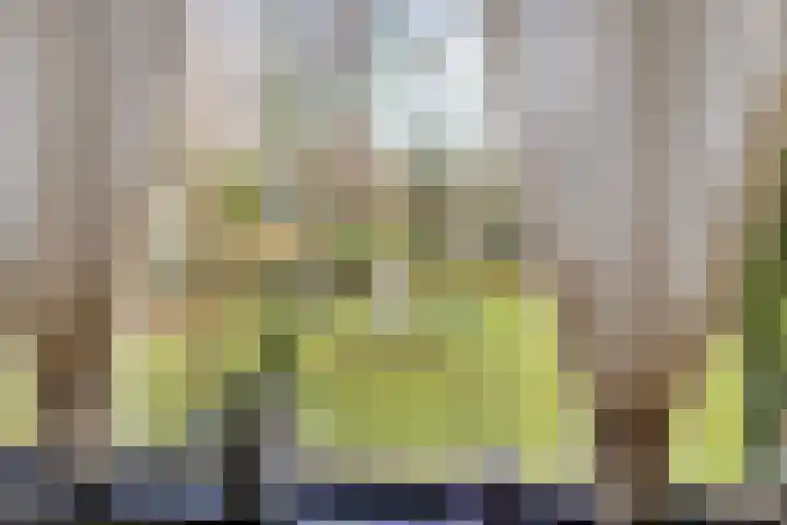 Heuveleindseweg 13 Best thumbnail 23