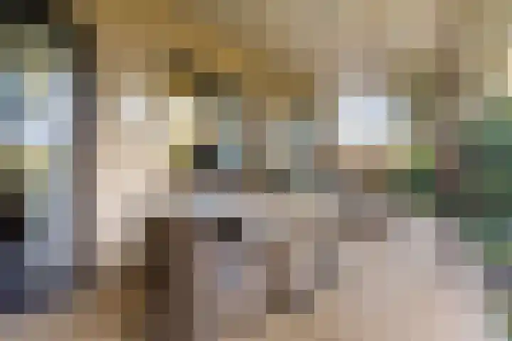 Heuveleindseweg 13 Best thumbnail 27