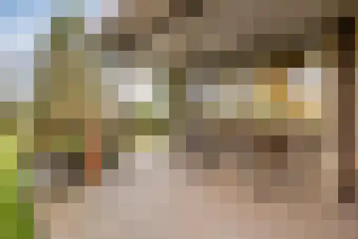 Heuveleindseweg 13 Best thumbnail 28