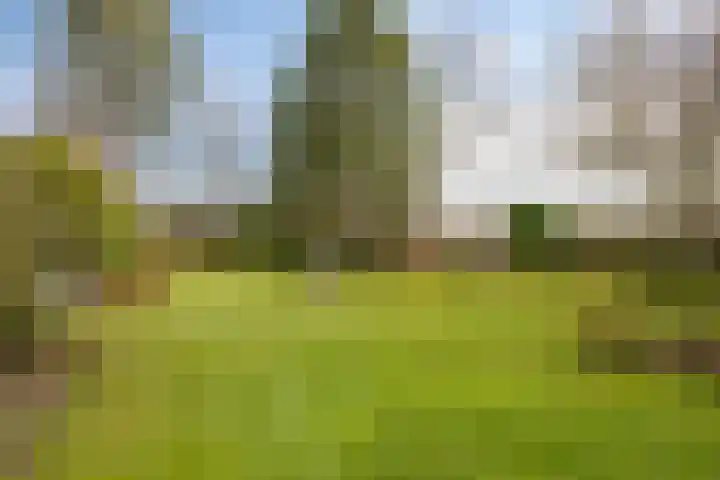 Heuveleindseweg 13 Best thumbnail 29