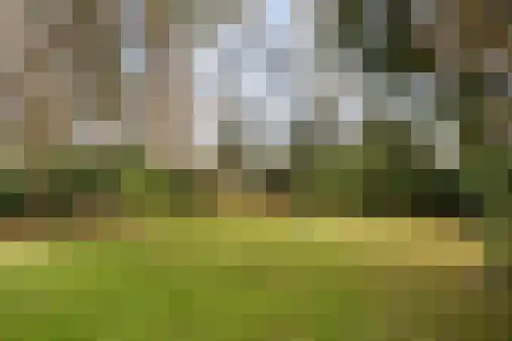 Heuveleindseweg 13 Best thumbnail 30