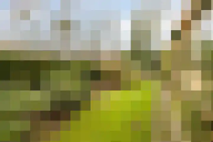 Heuveleindseweg 13 Best thumbnail 32