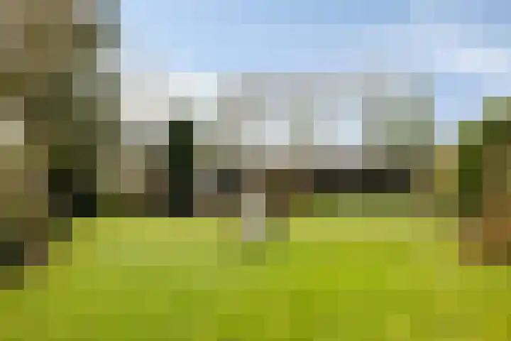 Heuveleindseweg 13 Best thumbnail 33