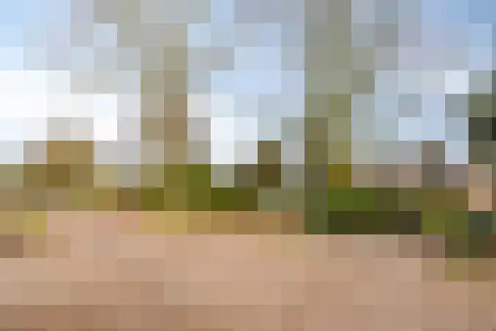 Heuveleindseweg 13 Best thumbnail 36