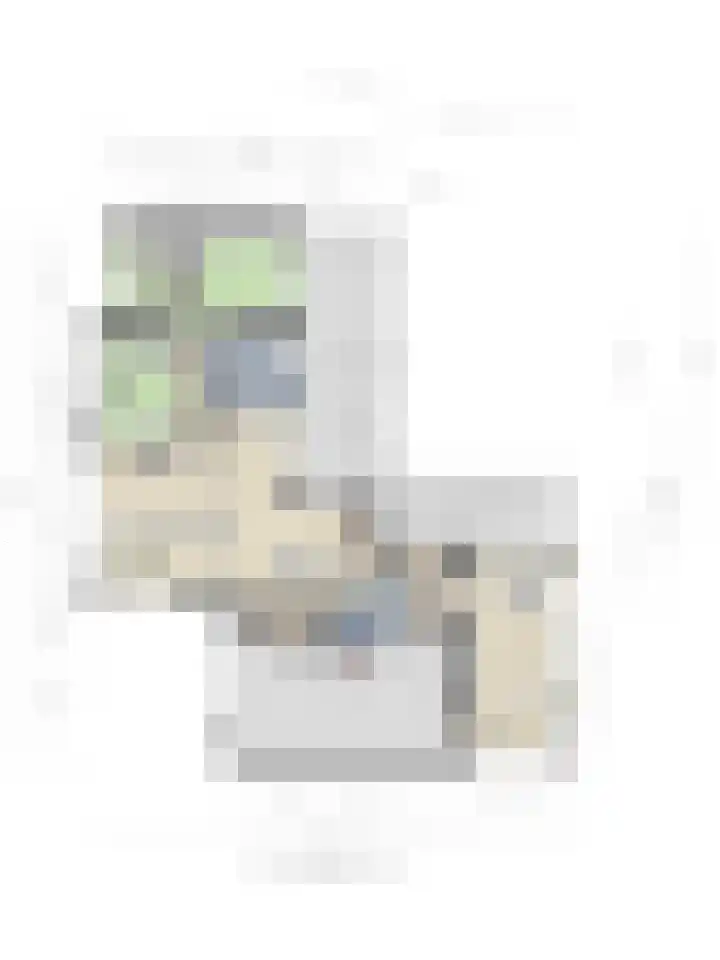 Heuveleindseweg 13 Best thumbnail 38