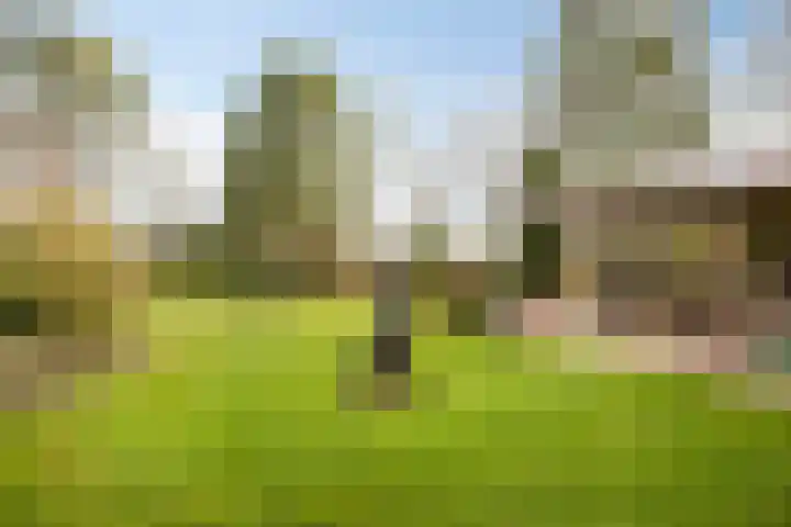 Heuveleindseweg 13 Best thumbnail 4