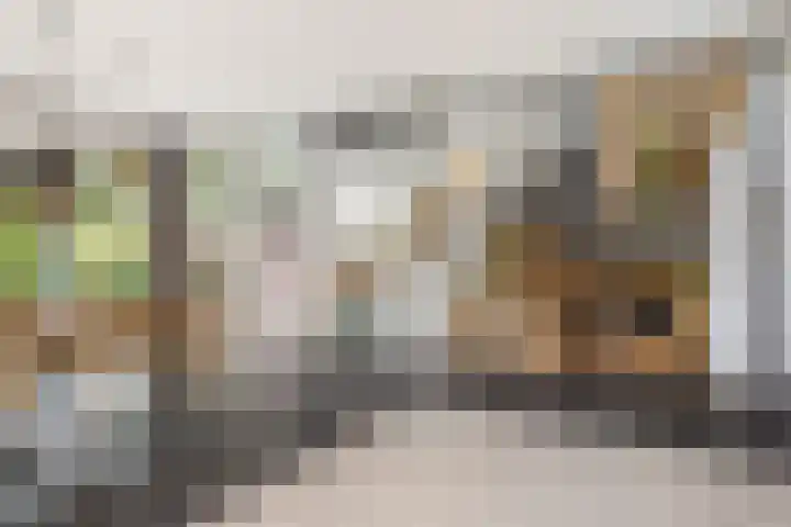 Heuveleindseweg 8 Best thumbnail 10