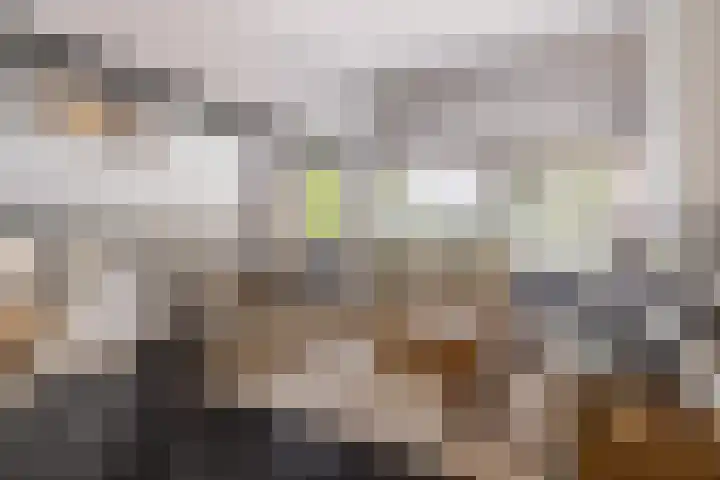 Heuveleindseweg 8 Best thumbnail 11