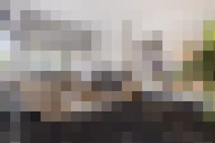Heuveleindseweg 8 Best thumbnail 12