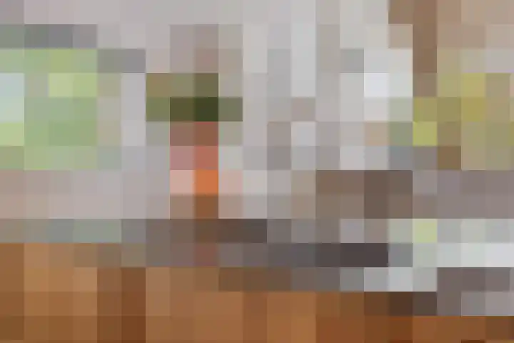 Heuveleindseweg 8 Best thumbnail 16