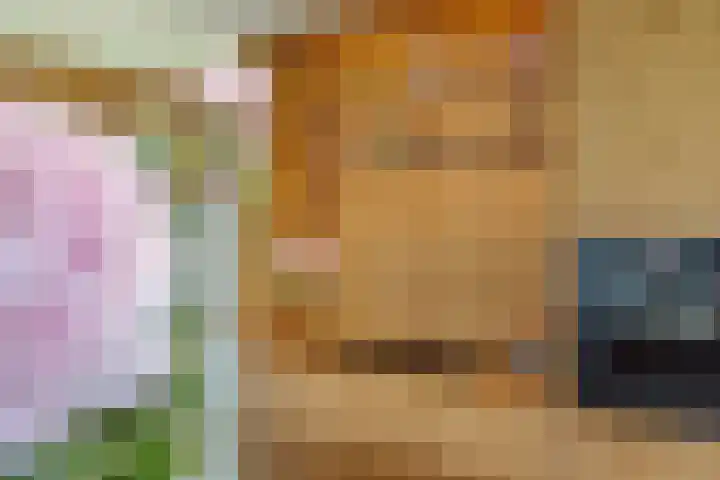 Heuveleindseweg 8 Best thumbnail 17