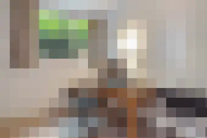 Heuveleindseweg 8 Best thumbnail 20